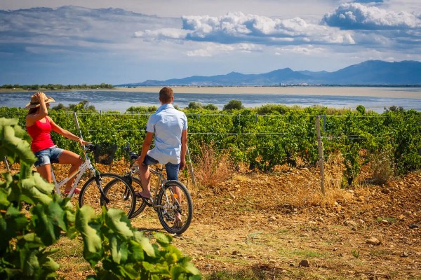 Fietsen Languedoc 12 vakantie in Frankrijk in luxe villa.jpg