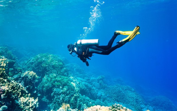 Snorkelen 1 Frankrijk diepzeeduiken diving plonger vakantie middellandse zee kust Provence.jpg