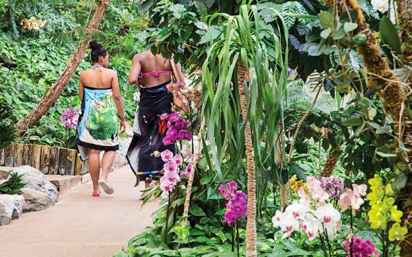 Antilles Jonzac 2 waterpark zwembad wellness tijdens vakantie in Frankrijk.jpg