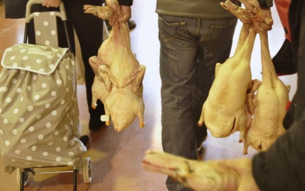 Markt 5 VDC Village des Cigales Frankrijk Lot Cahors toerisme vakantiehuis park zwembad kinderen.jpg