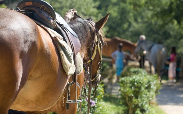 Gourdon 16 vakantie Dordogne Frankrijk Montmarsis vakantiepark zwembad restaurant animatie.jpg