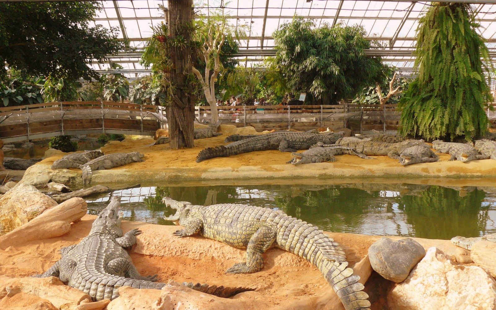 des Crocodiles Holiday parks des Crocodiles Holiday parks