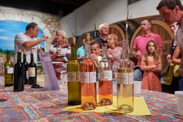 Wijn 13 Frankrijk Provence Bordeaux Dordogne Languedoc Lot proeverij druiven vakantie.jpg