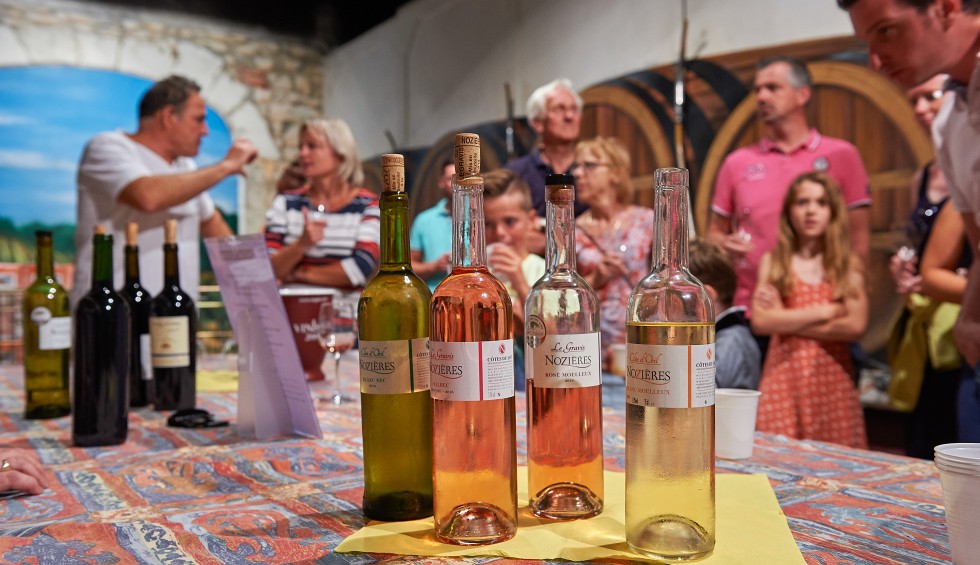 Wijn 13 Frankrijk Provence Bordeaux Dordogne Languedoc Lot proeverij druiven vakantie.jpg