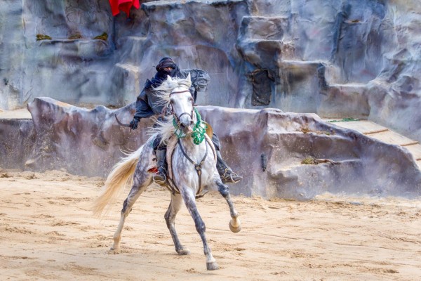 Durandal 6 parc Rocamadour Frankrijk vakantie animatie paarden show.jpg