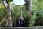 Landes 15 parc naturel Gascognes Frankrijk vakantie regio luxe villa toerisme bos wandelen fietsen.j