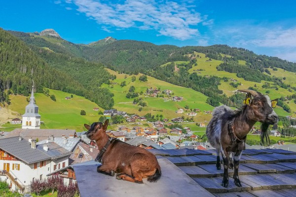 Chablais 13S unesco geopark portes du soleil Alpen Frankrijk vakantie abondance chapelle.jpg