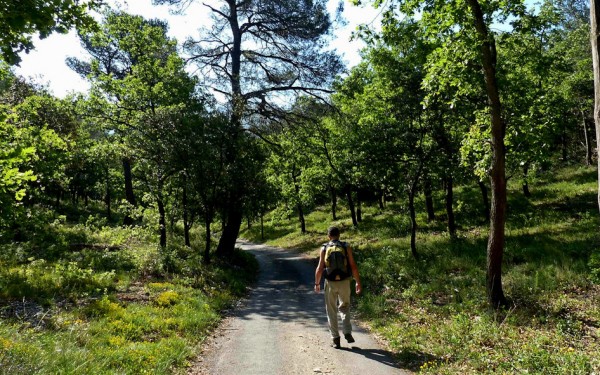 Landes 10 parc naturel Gascognes Frankrijk vakantie regio luxe villa toerisme bos wandelen fietsen.j
