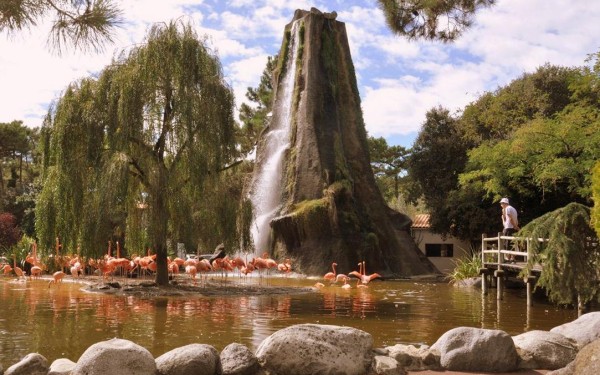 Vallee 3 des singes zoodyssezoo de la palmyre pescalis frankrijk bois senis dierentuin wifi domaine