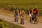 Fietsen Lot 4 Frankrijk Dordogne trektocht gezin vrienden senioren vakantiepark luxe villa zwembad.j