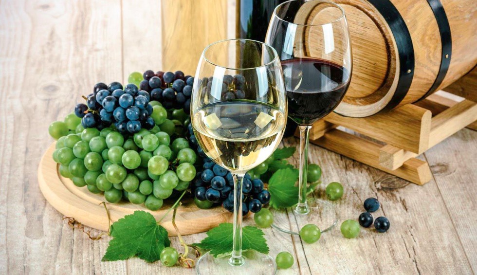 Wijn 15 Frankrijk Languedoc Dordogne Provence Bordeaux vakantiehuis.jpg