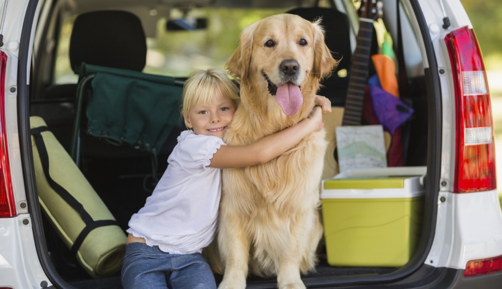 Hond Frankrijk vakantie wandelen luxe villa zwemmen.jpg