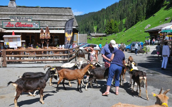 Lindarets 13 Portes du soleil vakantie bij Avoriaz en Morzine geitendorp village des chevres.jpg