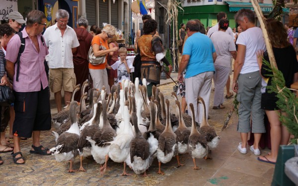 Brignoles 10 Var Provence feest nans les pins farnkrijk vakantiehuis villa luxe toerisme.jpg