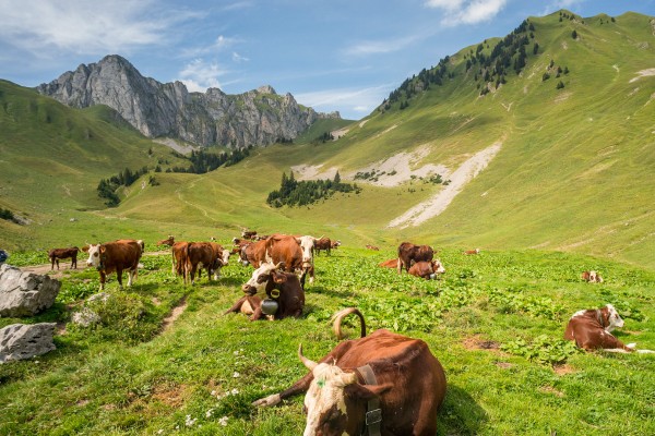 Chablais 2 unesco geopark portes du soleil Alpen Frankrijk vakantie abondance chapelle meer geneve.j