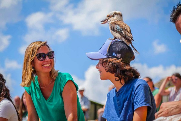 Dierenpark 3 Poitou-Charentes roofvogels vakantie Les Forges Frankrijk gezin met kinderen.jpg