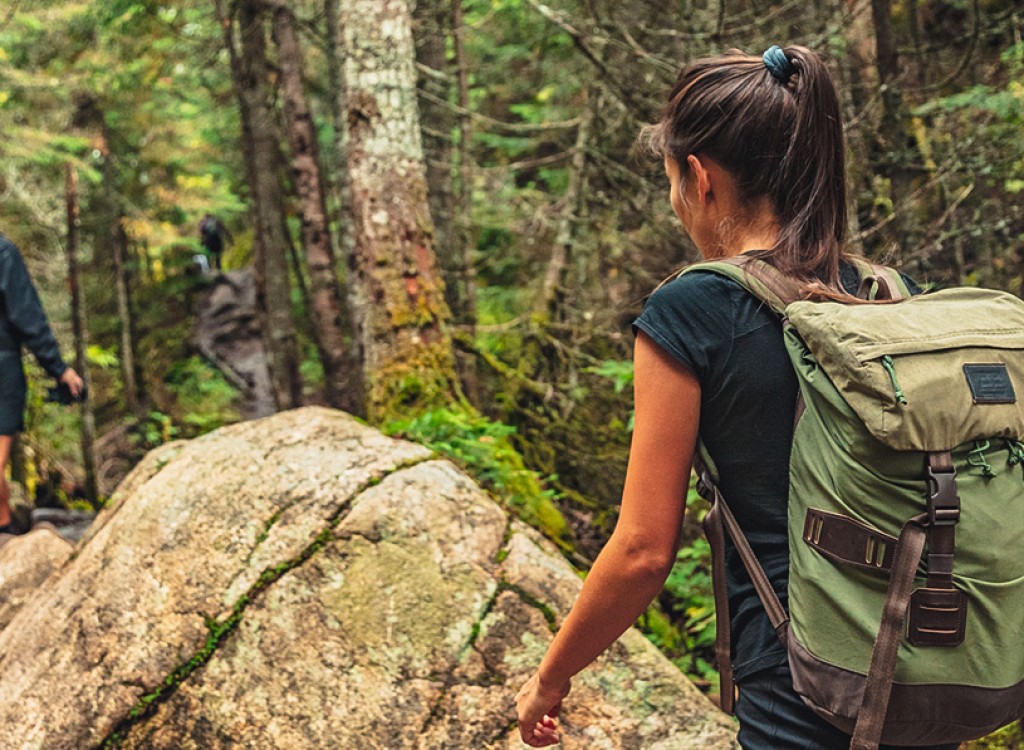 Natuurgebieden 9 Poitou-Charentes  Frankrijk wandelen in vakantie.jpg