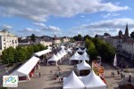 DS 7 Domaine les Forges Frankrijk festivals bois senis charentes poitou vakantiehuis toerisme.jpg