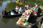 DS 4 Domaine les Forges Frankrijk festivals bois senis charentes poitou vakantiehuis toerisme marai