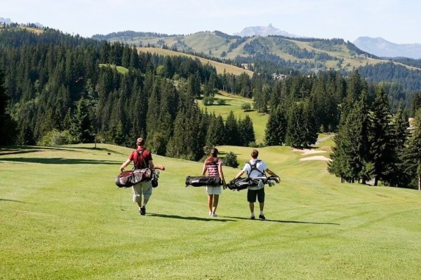 Golf 5 Gets tijdens vakantie Frankrijk in Abondance AlpChalets Portes du Soleil.jpg