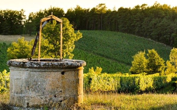 Vignoble 1 chateau vin Cahors Frankrijk vakantiepark Latuc Laur degustation vakantiehuis.jpg