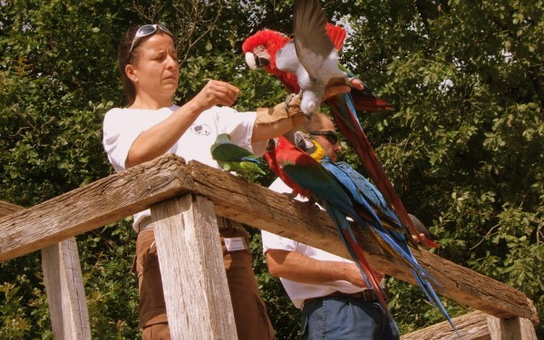 Rocher des aigles 6 Frankrijk vakantiehuis luxe villa Languedoc kust zee strand zwembad internet.jpg
