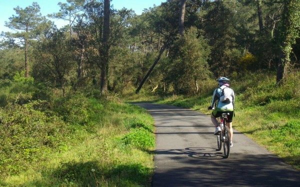 Landes 12 parc naturel Gascognes Frankrijk vakantie regio luxe villa toerisme bos wandelen fietsen.j