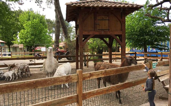 Coccinelle 22 kidparc animatie Frankrijk vakantiepark chateau de salles luxe villa kinderen.jpg