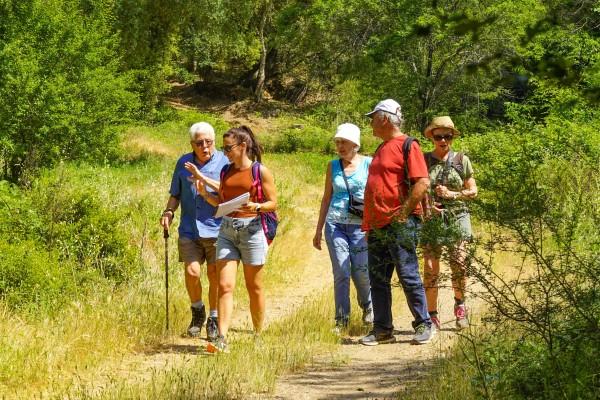 Massif Maures 1 Frankrijk Provence vakantie wandelen Var bergen natuur.jpg