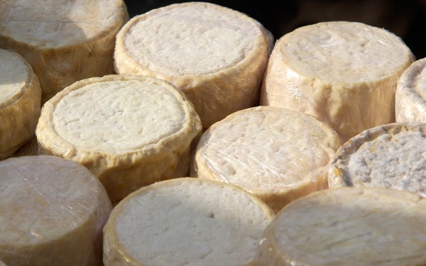 Fromage 9 Abondance kaas ferme boerderij vakantie Portes du Soleil Savoie FranceComfort.jpg