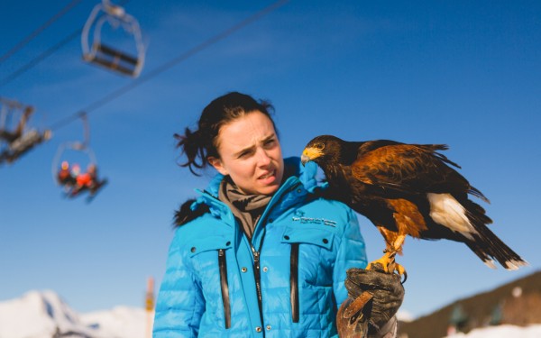 Roofvogels 16 lac leman meer geneve sciez show winter morzine adelaar valk.jpg