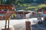 Lindarets 12 Portes du soleil vakantie bij Avoriaz en Morzine geitendorp village des chevres.jpg