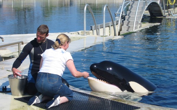 Marineland 12 Villa's du Verdon Frankrijk Provence Antibus vakantiehuis cannes nice gezin.jpg