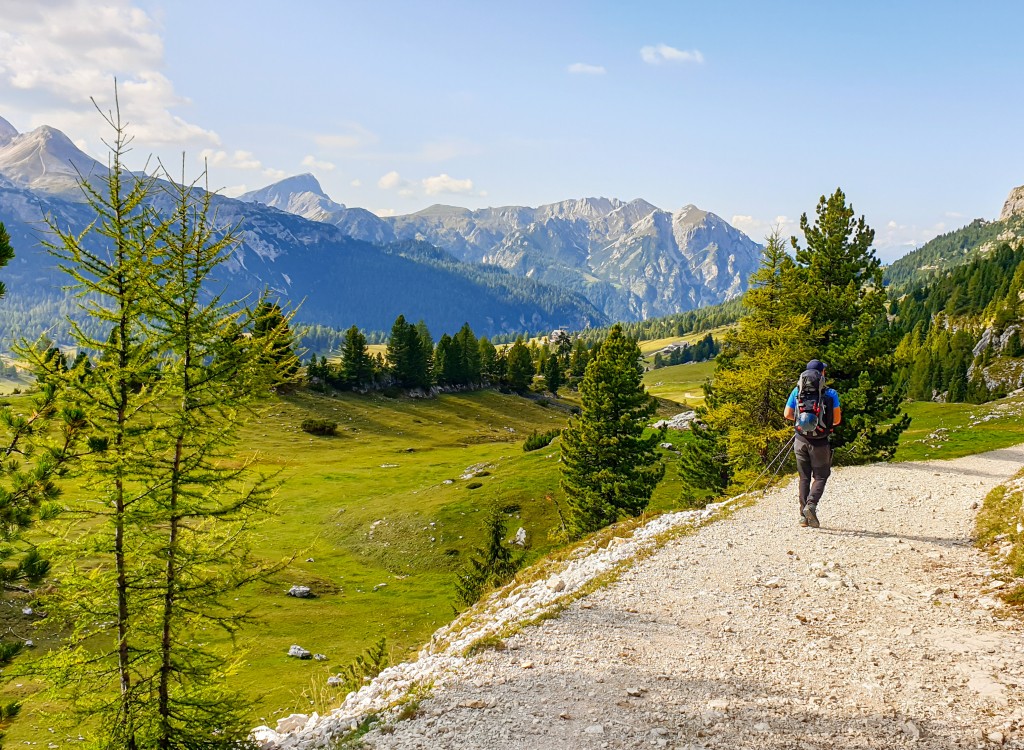 Wandelen 112a vakantie Portes du soleil Frankrijk Alpen zomer bergen.jpg