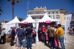 Sanary sur mer 21 Provence zuid Frankrijk rose vakantie luxe villa toerisme Middellandse zee.jpg