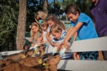Coccinelle 21 kidparc animatie Frankrijk vakantiepark chateau de salles luxe villa kinderen.jpg