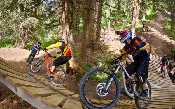 Bikepark 2 Chatel Portes du Soleil bergen Alpen vakantie mountainbike MTB ATB VTT Frankrijk.jpg