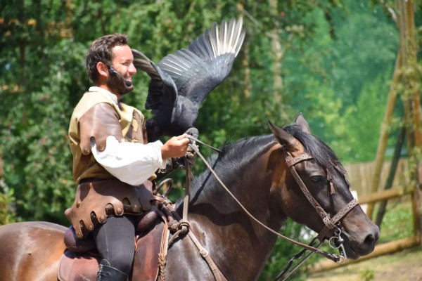 Roofvogels 11 lac leman meer geneve sciez show winter morzine adelaar valk.jpg
