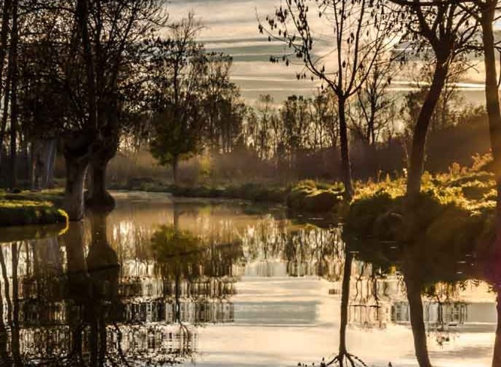 Frankrijk marais poitevin golf les forges bois senis blue green vakantiehuis kinderen.jpg