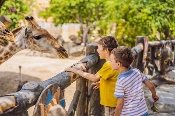 Zoo de la Palmyre 1 kinderen kijken naar dieren.jpg
