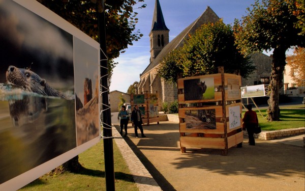Menigoute 5 vogel festival oiseaux Frankrijk bois senis les forges jeugd vakantiepark poitou kindere