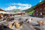 Lindarets 14 Portes du soleil vakantie bij Avoriaz en Morzine geitendorp village des chevres.jpg