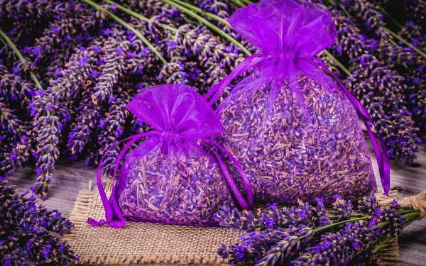 Regionale producten 17 Provence Frankrijk Cote d Azur wijngaard vakantie luxe villa.jpg