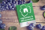 Frankrijk 2 kwaliteit label vakantie toerisme Vignobles & Découvertes wijngaard proeverij.jpg
