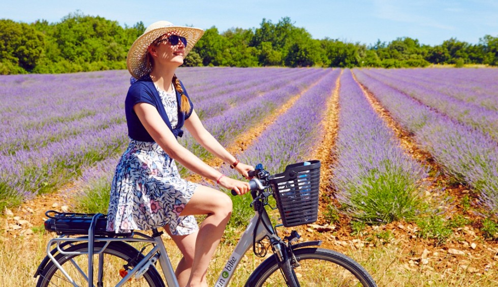 FranceComfort fietsen velo cycle vakantie holida vacances Provences Lavendel_edited.jpg