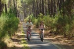 Landes 14 parc naturel Gascognes Frankrijk vakantie regio luxe villa toerisme bos wandelen fietsen.j
