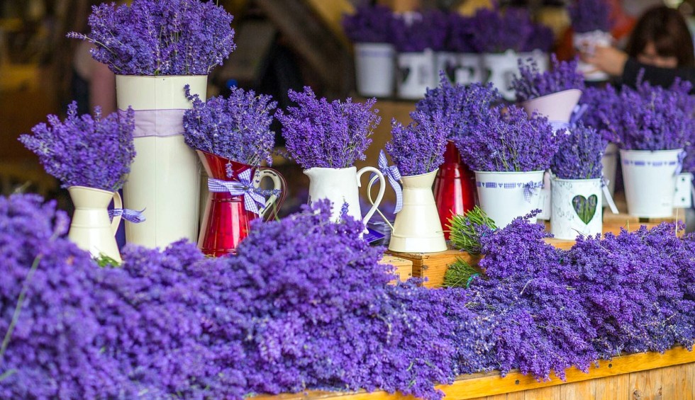 Markt Nans les Pins 4 Provence vakantie Frankrijk lavendel olijf kaas avond.jpg