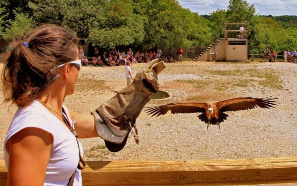 Rocher des aigles 1 Frankrijk Dordogne Rocamadour vakantiehuis zwembad wandelen vogels hond wifi.jpg