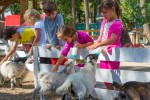 Coccinelle 20 kidparc animatie Frankrijk vakantiepark chateau de salles luxe villa kinderen.jpg