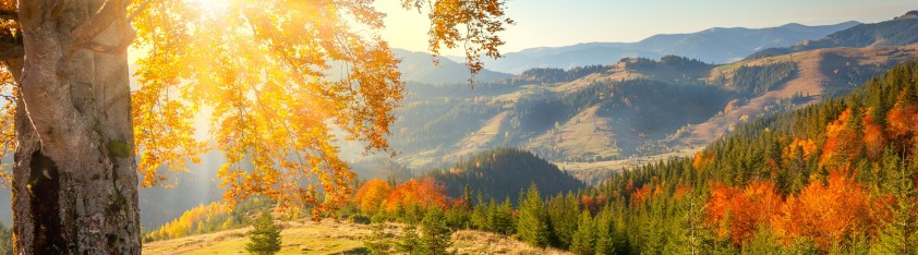 Herfst 1 vakantie Frankrijk najaar luxe villa appartement wandelen Alpen portes du Soleil.jpg